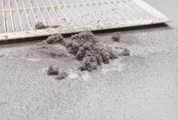 Best Ductwork Cleaning Services  in Pierce City, MO