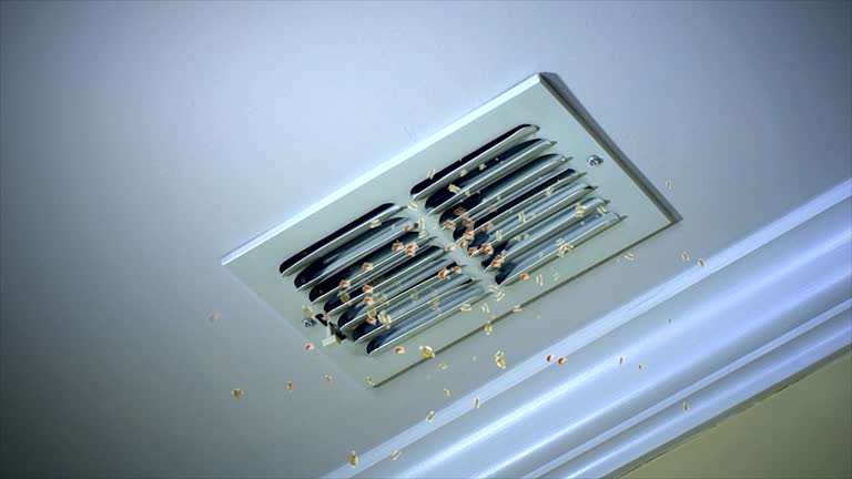 Best Air Duct Cleaning Near Me  in Pierce City, MO