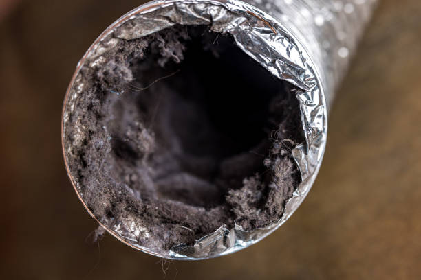 Best Ventilation Cleaning Services  in Pierce City, MO